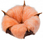 Цветок хлопка Cotton, оранжевый