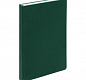 Ежедневник Grade, недатированный, зеленый
