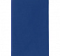 Ежедневник Flat Mini, недатированный, синий