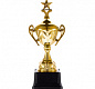 Кубок Top Star, золотистый