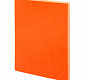 Ежедневник Flat, недатированный, оранжевый